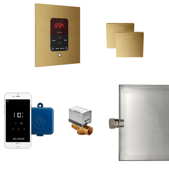 Mr. Steam MSBUTLERXSQ-RAW MS Butler® Max Square Unfinished Brass