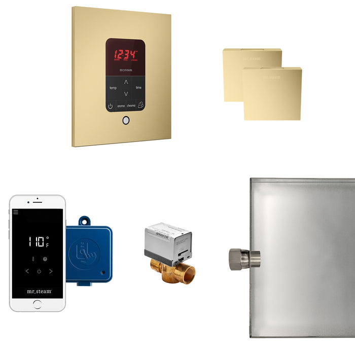 Mr. Steam MSBUTLERXSQ-SB MS Butler® Max Square in Satin Brass