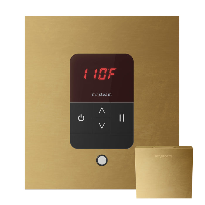 Mr. Steam MSITEMPOSQ-RAW iTempo® Square Unfinished Brass