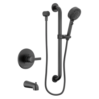 Peerless Precept: ADA tub and hand shower