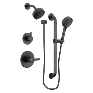 Peerless Precept: ADA shower and hand shower