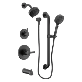 Peerless Precept: ADA tub shower and hand shower