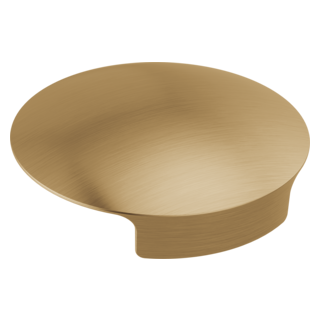 Delta Other: Glass Rinser Cover