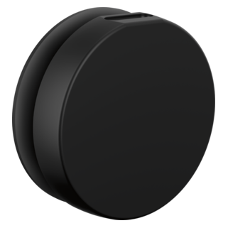 Brizo Other: Mystix Round Steam Head