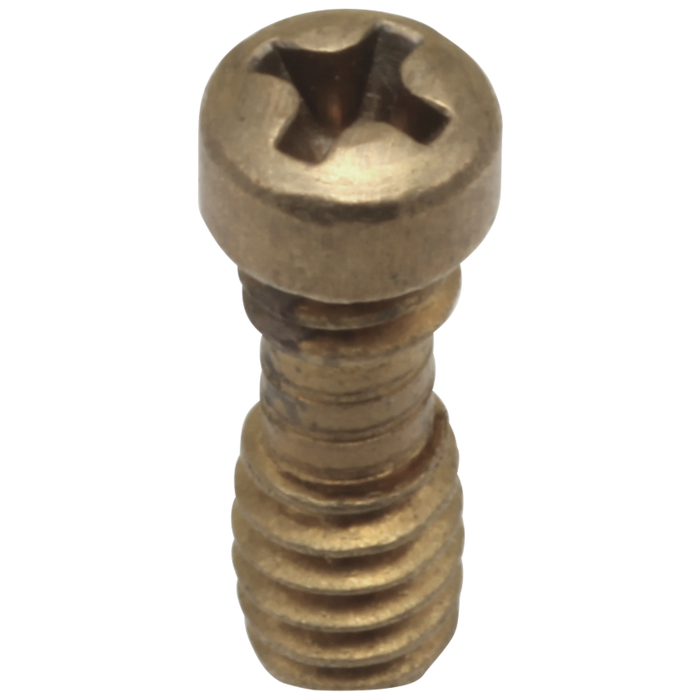 Delta RP20185 1/2" Retention Screws - Quantity 2