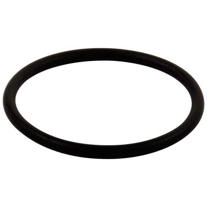 Delta O-Ring - Large - All Monitor Series
