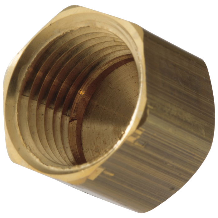 Delta 1/2" Female Ips Brass Cap
