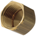 Delta 1/2" Female Ips Brass Cap
