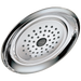 Delta Single-Setting Raincan Shower Head