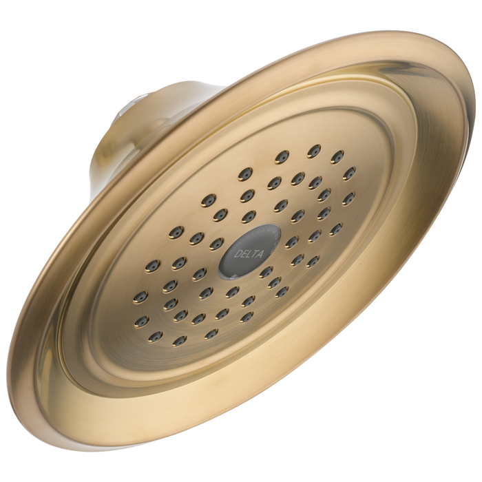 Delta Single-Setting Raincan Shower Head