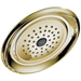 Delta Single-Setting Raincan Shower Head