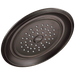 Delta Single-Setting Raincan Shower Head