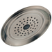 Delta Single-Setting Raincan Shower Head