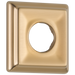 Delta Dryden Flange - Shower