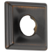 Delta Dryden Flange - Shower