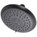 Delta Porter Shower Head