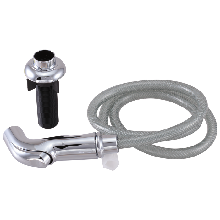 Delta Collins Spray and Hose Assembly with Spray Support
