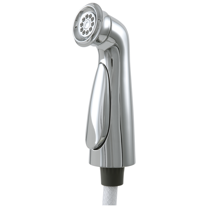 Delta Cassidy Spray and Hose Assembly
