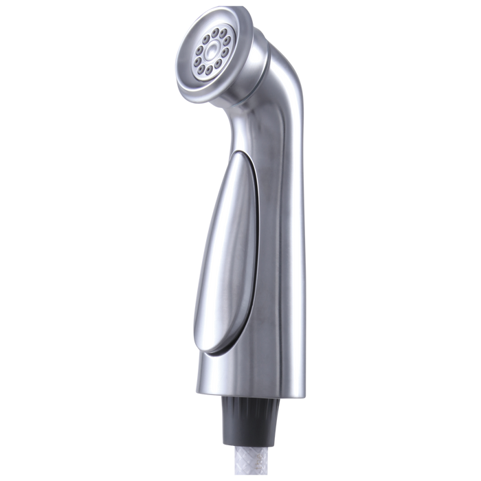 Delta Cassidy Spray and Hose Assembly