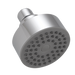 Peerless Precept: Shower head