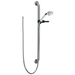 Delta Single-Setting Hand Shower with Grab Bar
