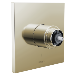 Brizo Frank Lloyd Wright: Pressure Balance Valve Only Trim - Less Handle