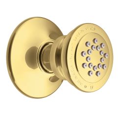 Moen A501 Adjustable Body Spray in Polished Brass