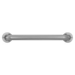 Moen Stainless 18" exposed screw grab bar