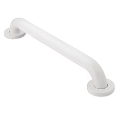 Moen Glacier 18" concealed screw grab bar