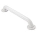 Moen Glacier 18" concealed screw grab bar