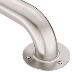 Moen Stainless 36" exposed screw grab bar