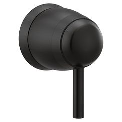 Moen Volume Control