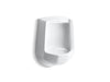 KOHLER K-4989-R Freshman Siphon-jet wall-mount 1 gpf urinal with rear spud