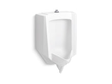 Load image into Gallery viewer, KOHLER K-25048-ET Stanwell Blow-out 0.5 to 1.0 gpf urinal with top spud
