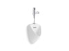 KOHLER K-PR20713-T2D Tend Urinal with Mach Tripoint touchless DC 0.5 gpf flushometer