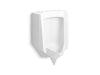 KOHLER Stanwell Blow-out 0.5 to 1.0 gpf urinal with rear spud
