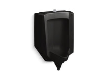 Load image into Gallery viewer, KOHLER K-25048-ET Stanwell Blow-out 0.5 to 1.0 gpf urinal with top spud
