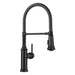 BLANCO 443022 Empressa Semi-Pro Kitchen Faucet 1.5 GPM - Matte Black